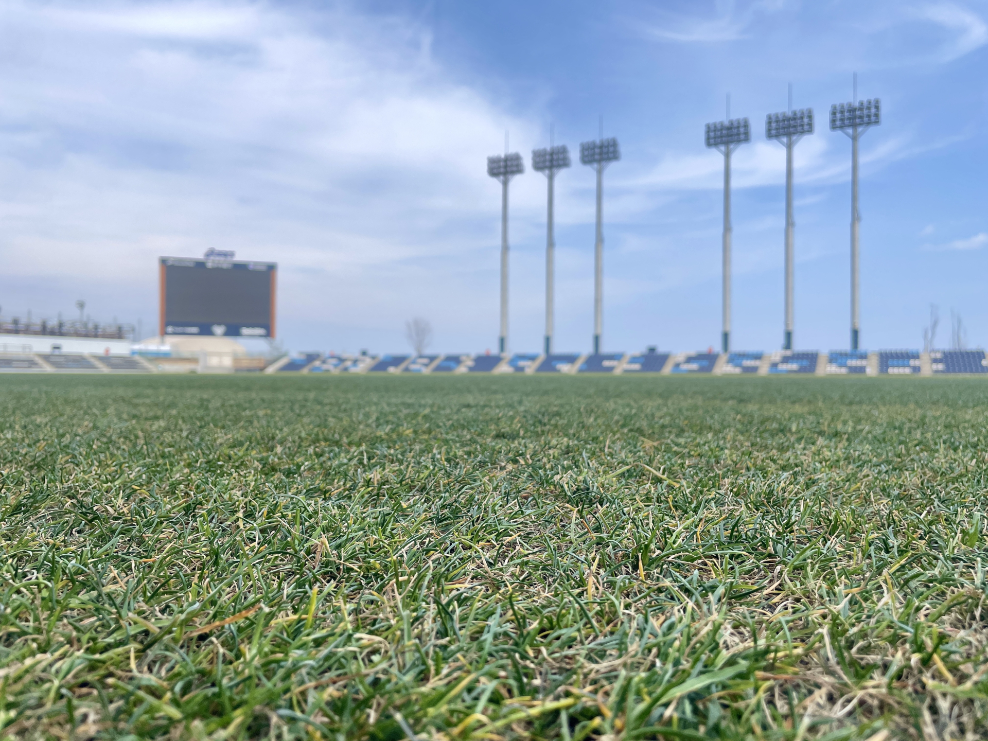 里山ドッグランリオープン記念「みんなでつくる里山ドッグラン　芝生お引越しイベント」開催のお知らせ
