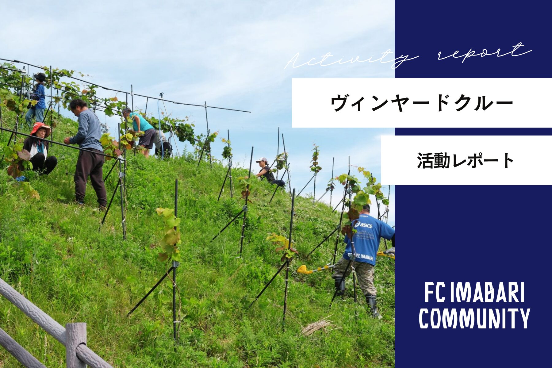 「ヴィンヤードクルー活動」レポート！第16回目の活動を実施しました！