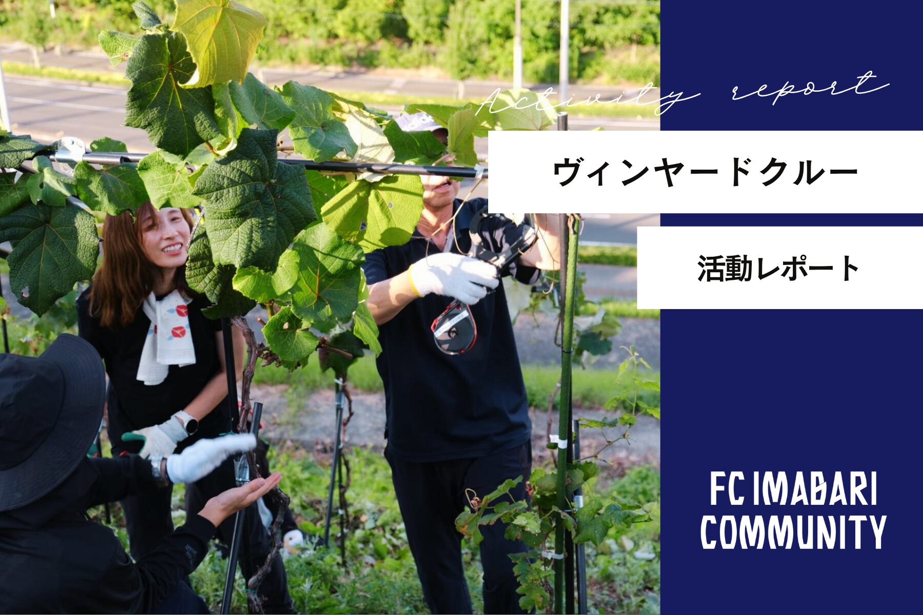 「ヴィンヤードクルー活動」レポート！第17回目の活動を実施しました！